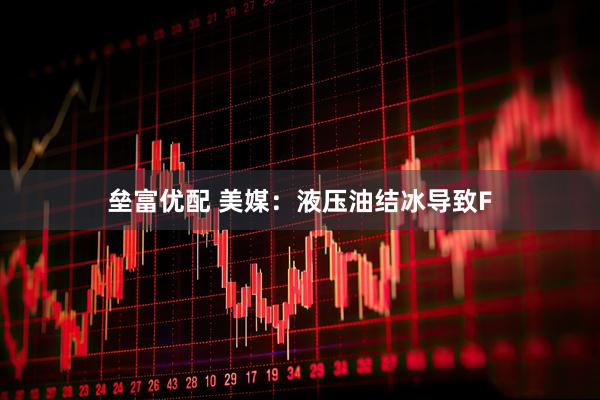 垒富优配 美媒：液压油结冰导致F