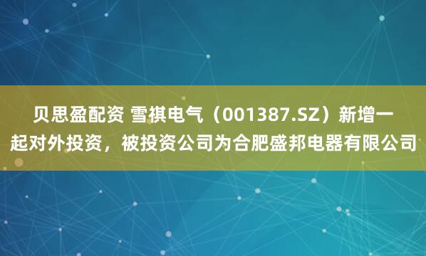 贝思盈配资 雪祺电气（001387.SZ）新增一起对外投资，被投资公司为合肥盛邦电器有限公司