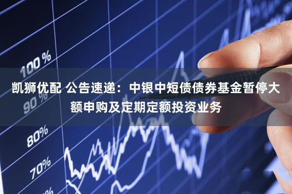 凯狮优配 公告速递：中银中短债债券基金暂停大额申购及定期定额投资业务