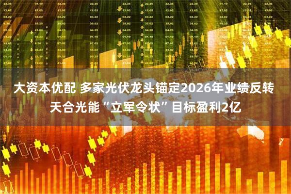 大资本优配 多家光伏龙头锚定2026年业绩反转 天合光能“立军令状”目标盈利2亿