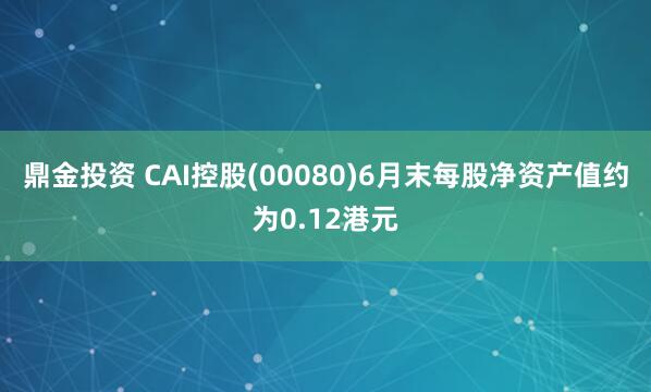 鼎金投资 CAI控股(00080)6月末每股净资产值约为0.12港元